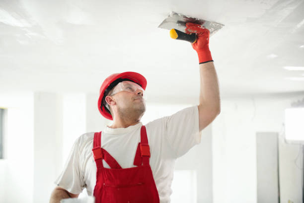Professional Mold Removal in Glenn Heights, TX